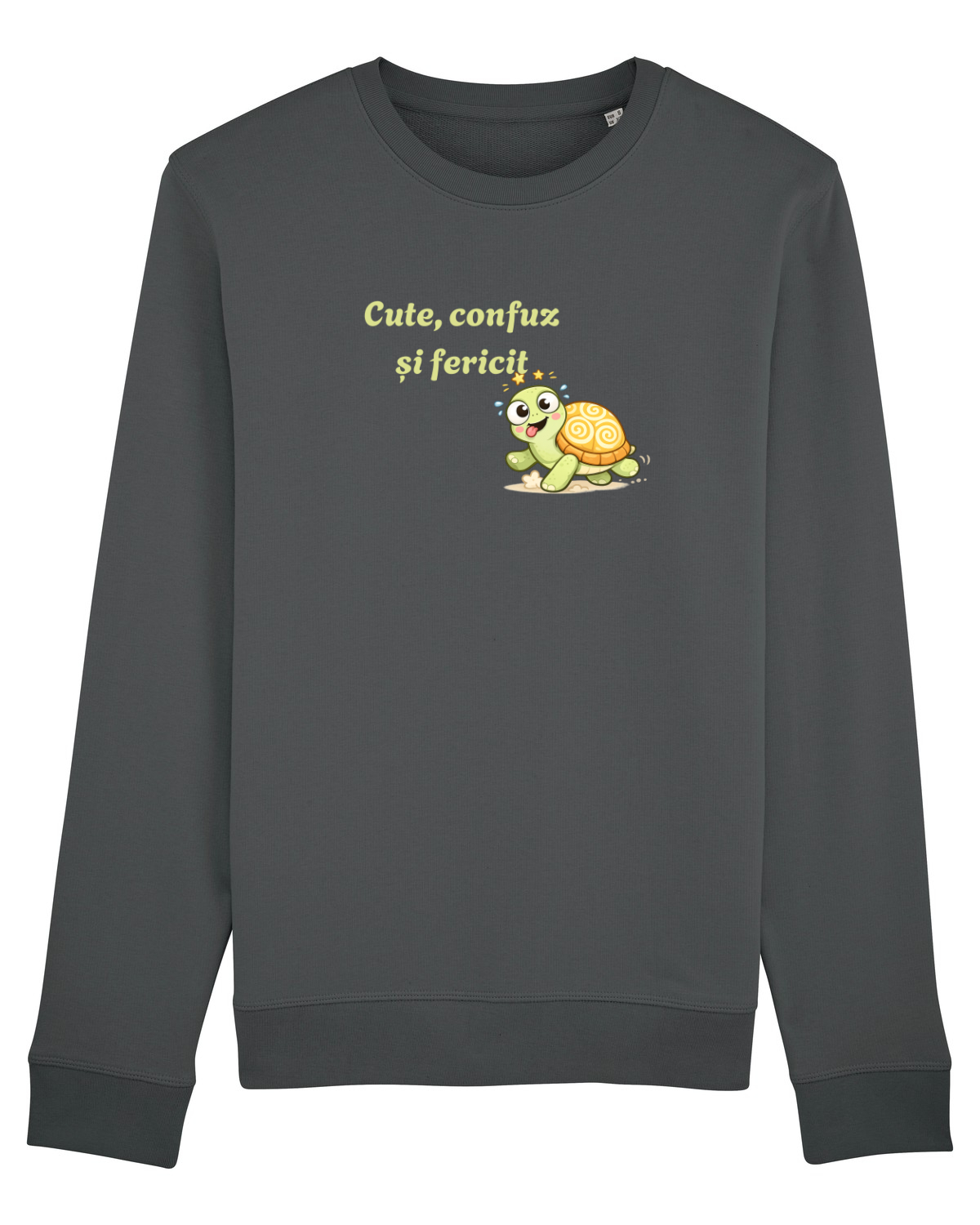Bluză mânecă lungă Unisex Rise Anthracite