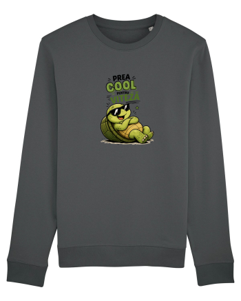 Prea cool pentru viteză! Anthracite