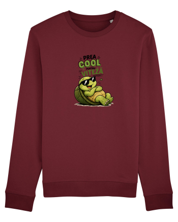 Prea cool pentru viteză! Burgundy