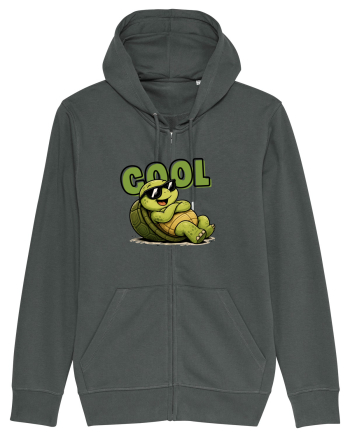 Cool Anthracite