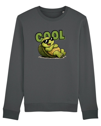 Cool Anthracite