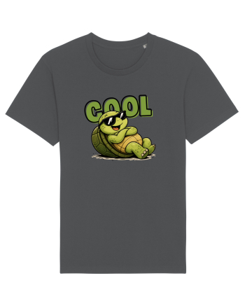 Cool Anthracite