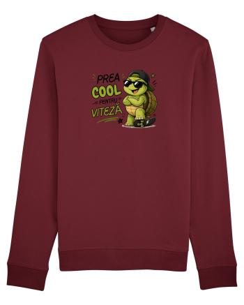 Prea cool pentru viteză! Burgundy