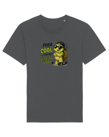 Prea cool pentru viteză! Anthracite