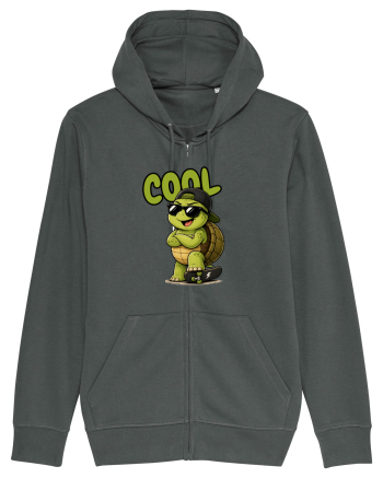Cool Anthracite