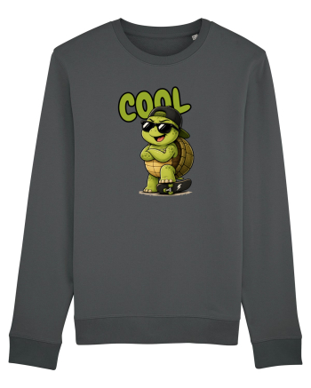 Cool Anthracite