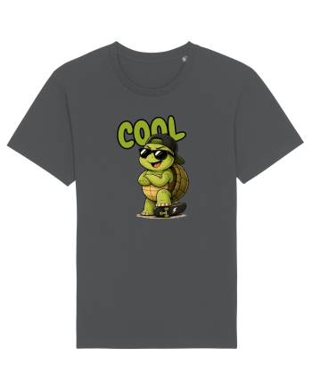 Cool Anthracite