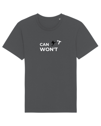 Can't  Anthracite
