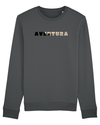 Aventura  Anthracite