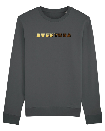 Aventura  Anthracite