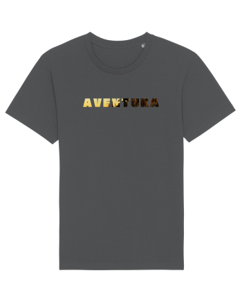 Aventura  Anthracite