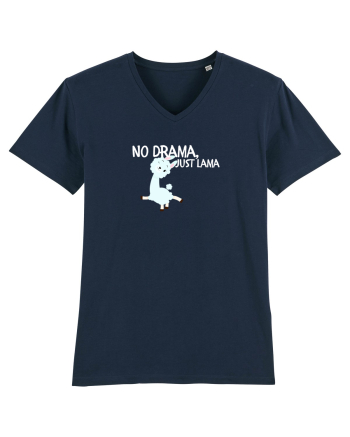 No drama,just lama  French Navy