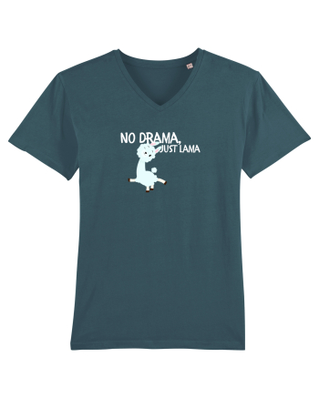 No drama,just lama  Stargazer