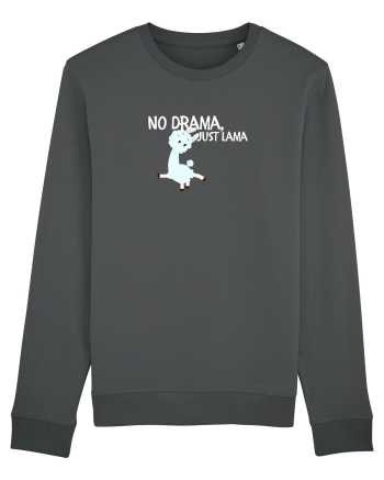 No drama,just lama  Anthracite