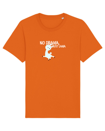 No drama,just lama  Bright Orange