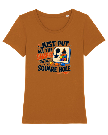 Gaura potrivita. Shape Sorter Humor Design for Engineers IT Workers and Pro Roasted Orange