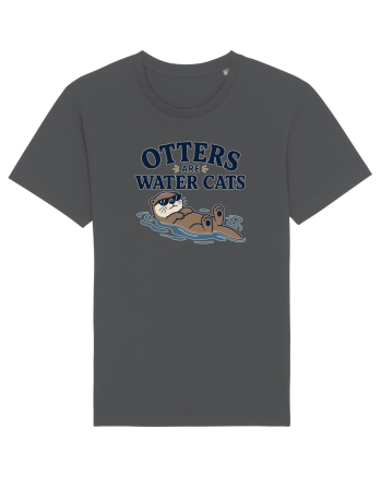 Vidrele sunt pisicile de apa. Funny Otter Lover Design for Animal Lovers Anthracite