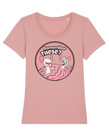 Remember These? Nostalgic Ironic Cartoon Mice Canyon Pink