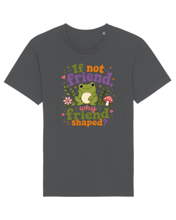 Cute Frog Meme If Not Friend Why Friend Shaped Funny Frog Humor Anthracite