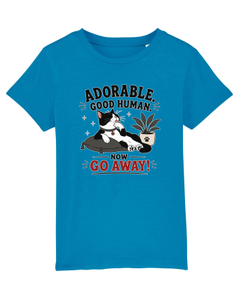 Funny Cat Attitude Design for Cat Owners and Feline Lovers Azur