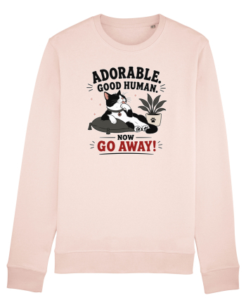 Funny Cat Attitude Design for Cat Owners and Feline Lovers Candy Pink