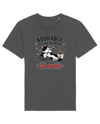 Funny Cat Attitude Design for Cat Owners and Feline Lovers Anthracite