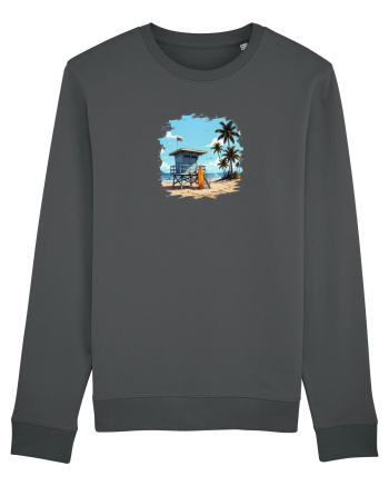 Summer  Anthracite