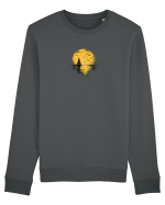 Apus Bluză mânecă lungă Unisex Rise