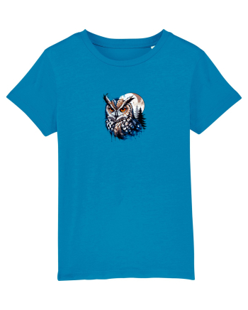 Owl  Azur