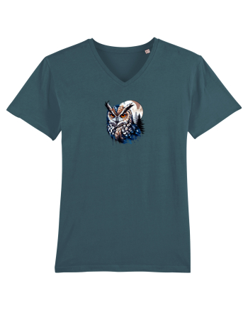 Owl  Stargazer