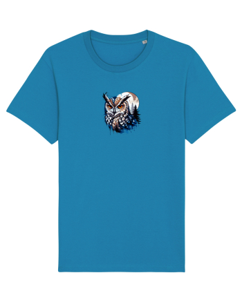 Owl  Azur
