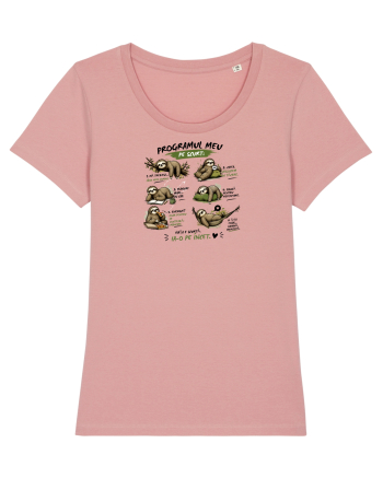 Programul meu.... Canyon Pink