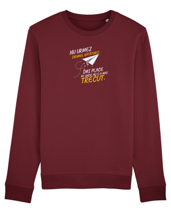 Nu urmez drumul bătătorit ..... Burgundy