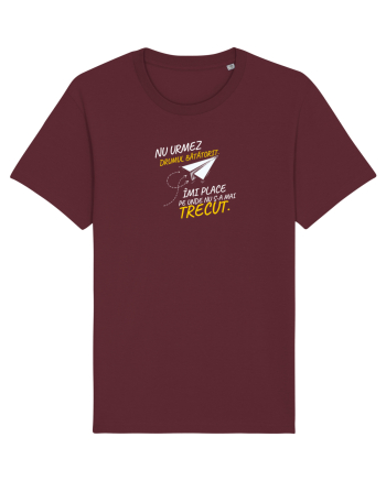 Nu urmez drumul bătătorit ..... Burgundy