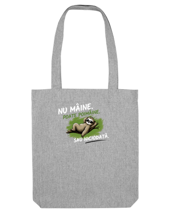 Nu mâine. Poate poimâine. Sau niciodată  Heather Grey