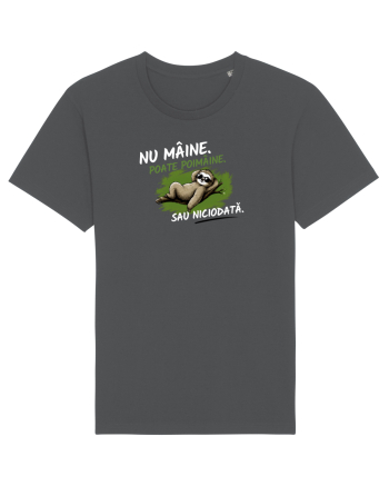 Nu mâine. Poate poimâine. Sau niciodată  Anthracite