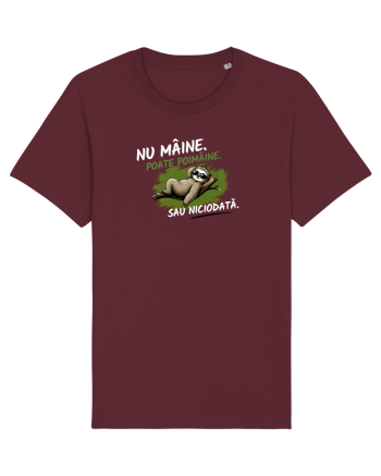 Nu mâine. Poate poimâine. Sau niciodată  Burgundy