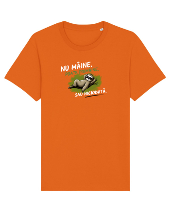 Nu mâine. Poate poimâine. Sau niciodată  Bright Orange