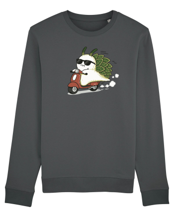 Funny Leaf Sea Slug Riding Scooter Cute Ocean Animal Summer Anthracite