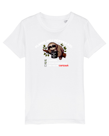 Planul meu pentru azi White