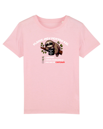 Planul meu pentru azi Cotton Pink