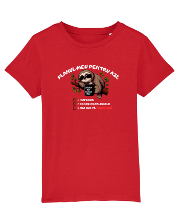Planul meu pentru azi Red