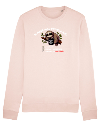Planul meu pentru azi Candy Pink