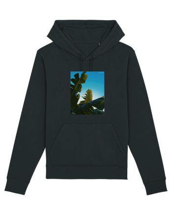 Tropical Therapy no. 6 Black
