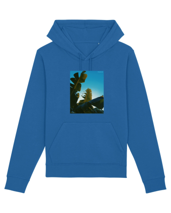 Tropical Therapy no. 6 Royal Blue
