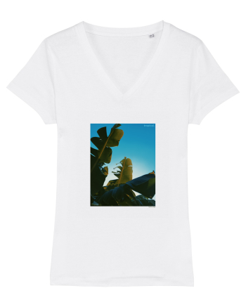 Tropical Therapy no. 6 White