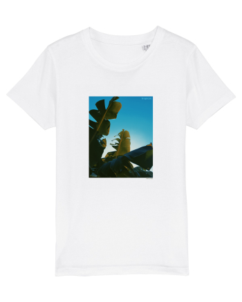 Tropical Therapy no. 6 White