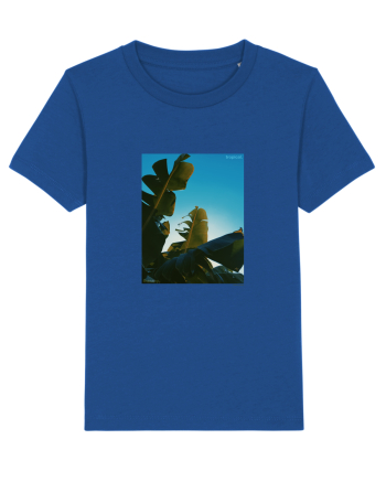 Tropical Therapy no. 6 Majorelle Blue