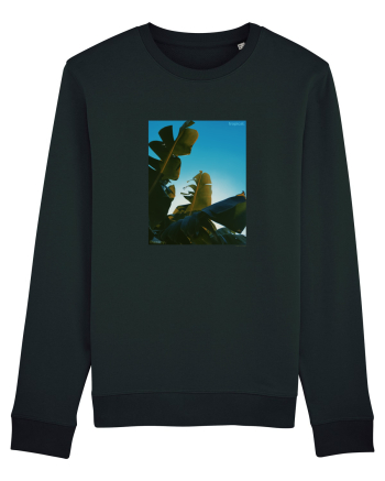 Tropical Therapy no. 6 Black