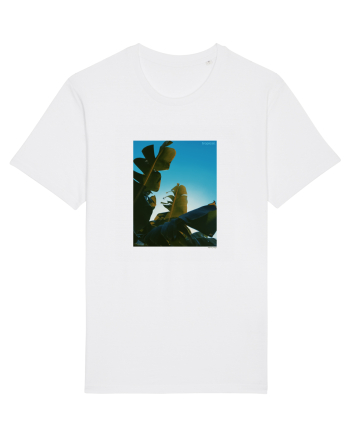 Tropical Therapy no. 6 White